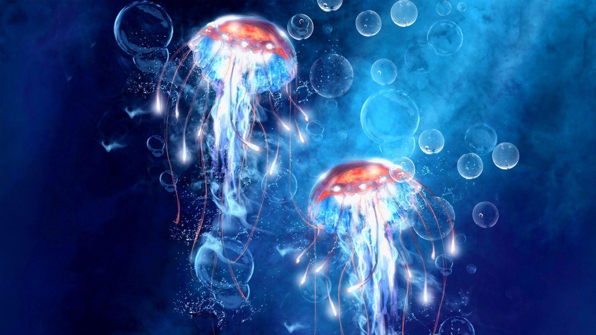 Cute Jellyfish Wallpapers