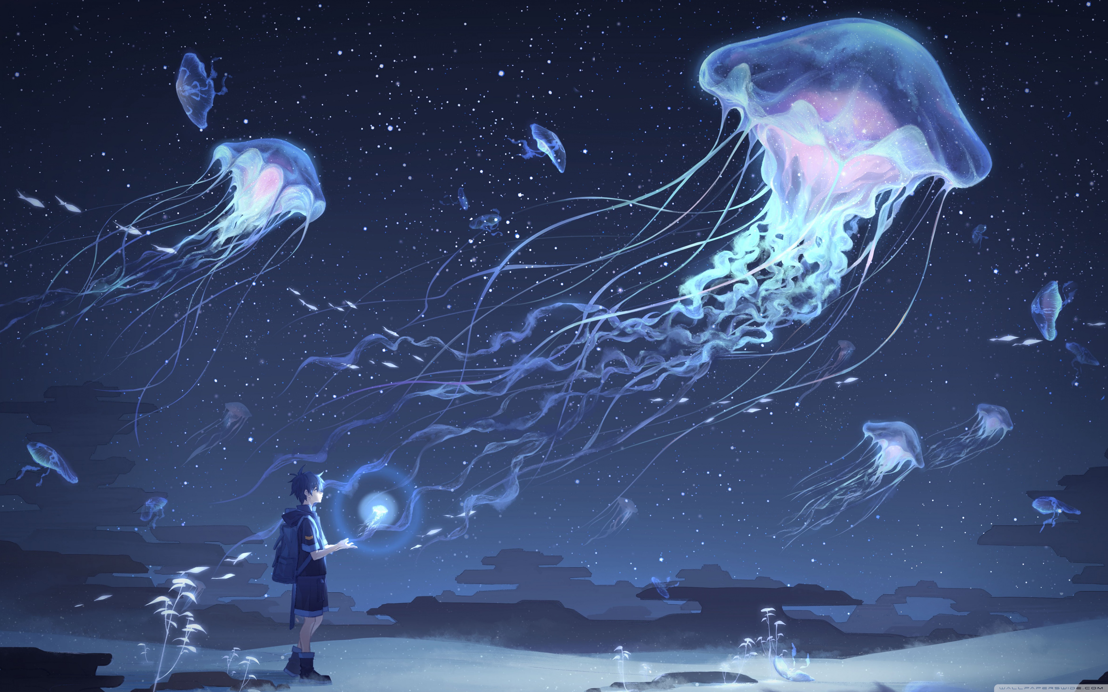 Cute Jellyfish Wallpapers