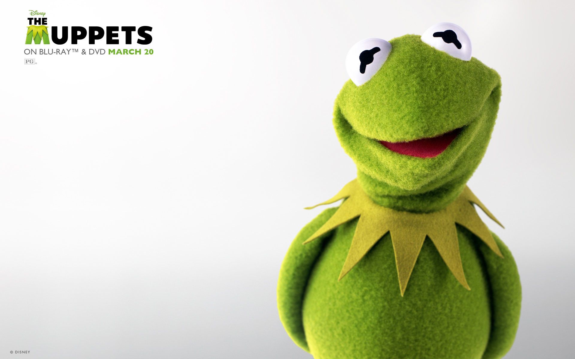 Cute Kermit The FrogWallpapers