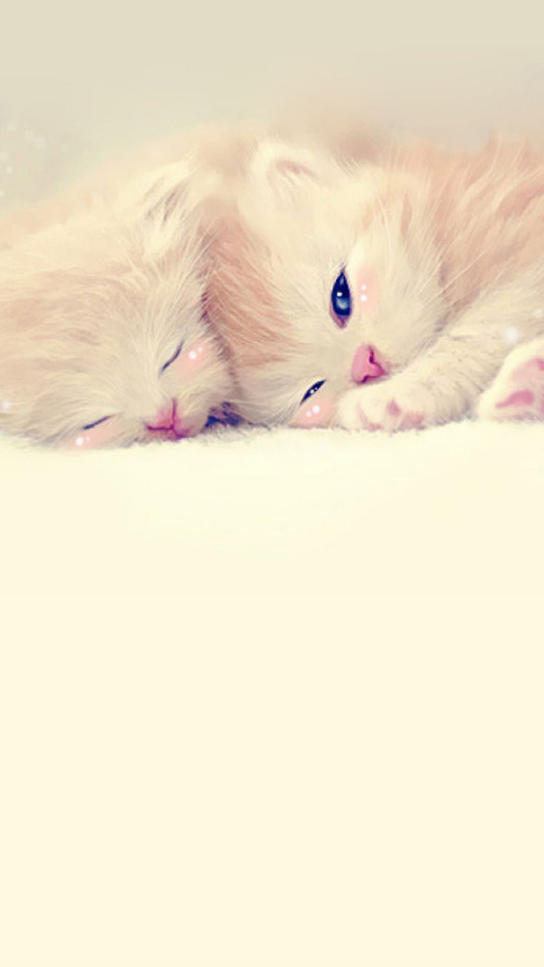 Cute Kitten Iphone Wallpapers