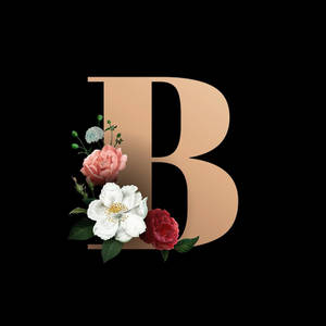 Cute Letter B Wallpapers