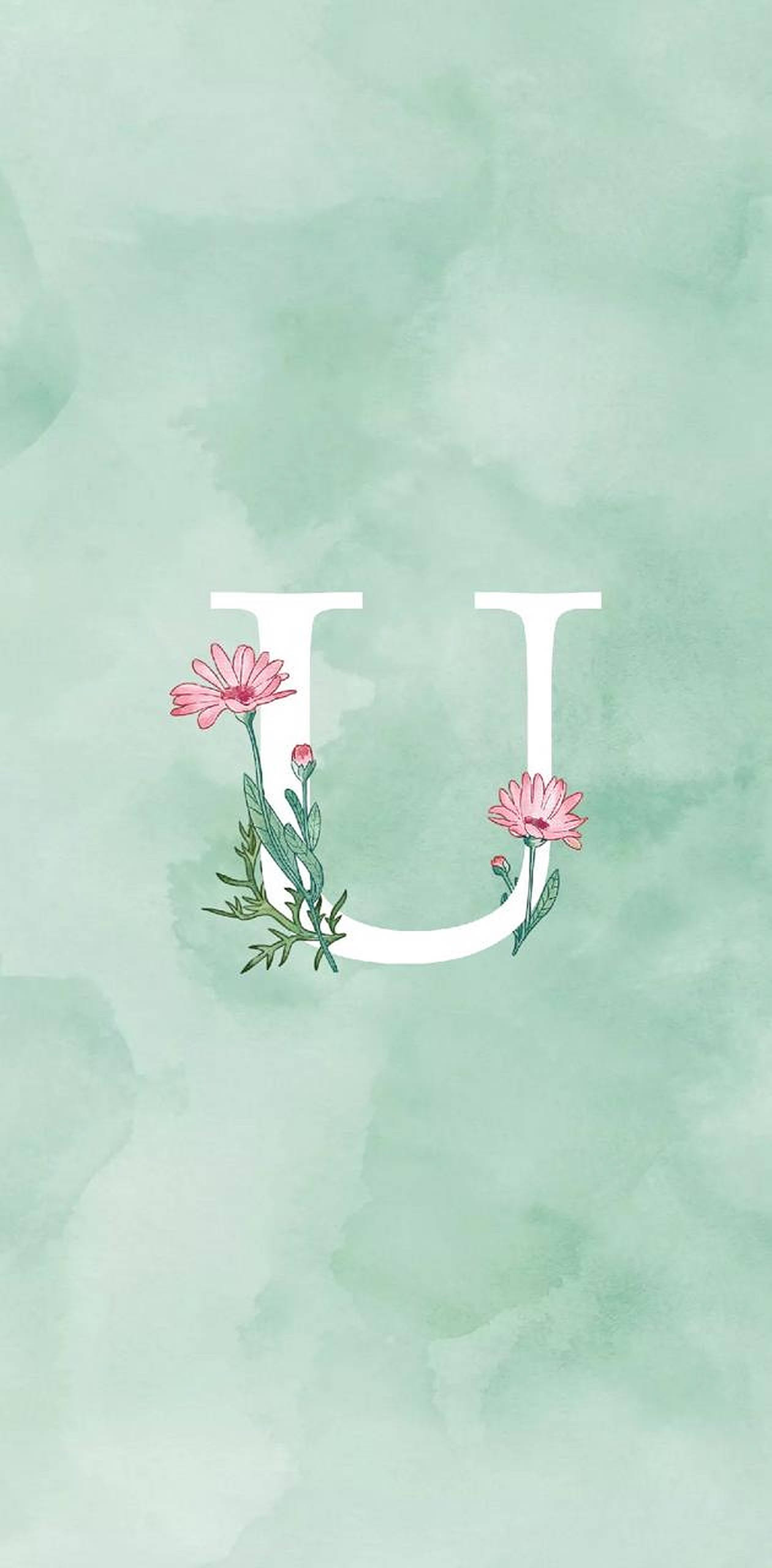 Cute Letter D Wallpapers