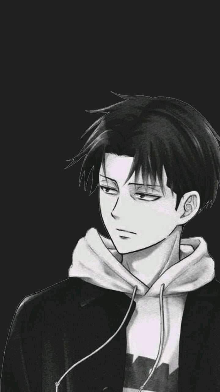 Cute Levi Ackerman Wallpapers