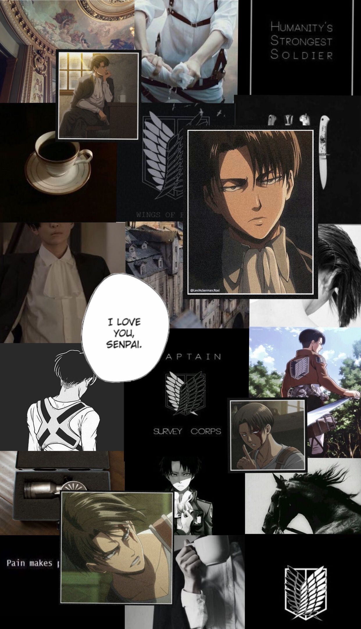 Cute Levi Ackerman Wallpapers