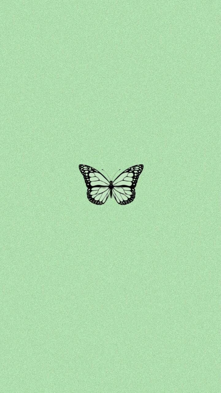 Cute Mint Green Aesthetic Wallpapers