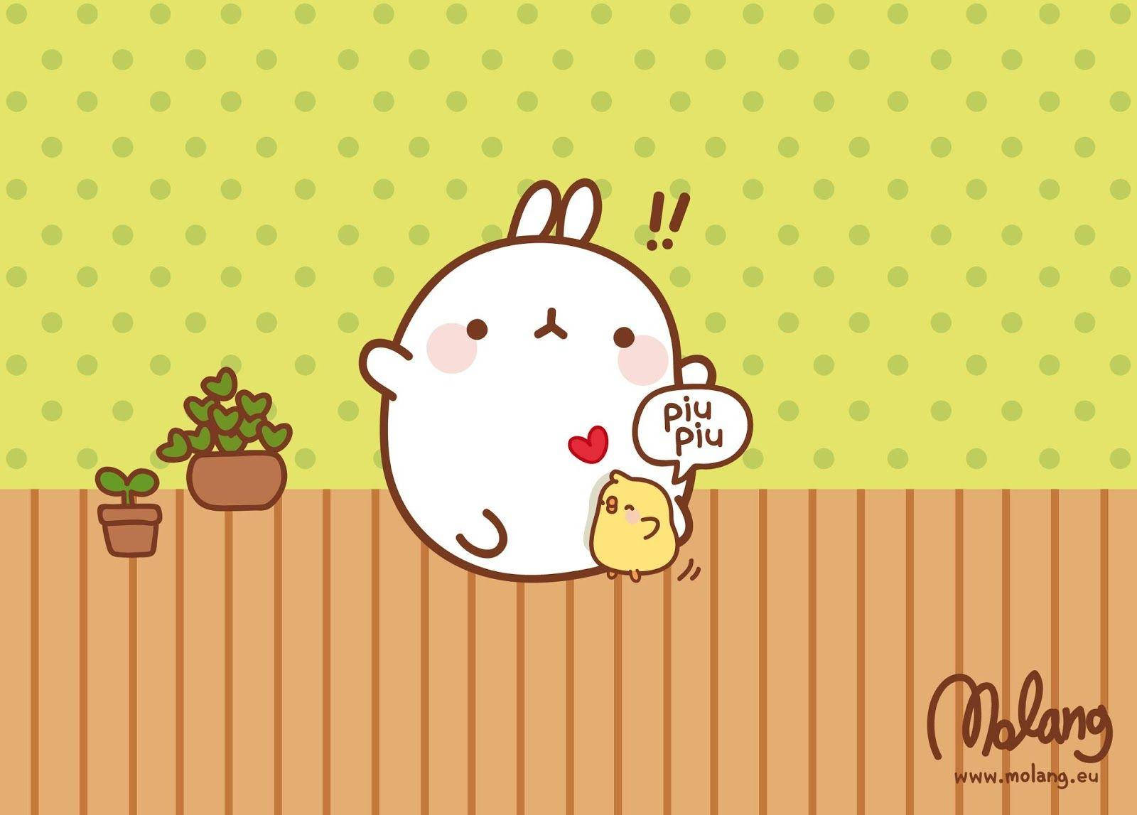 Cute MolangWallpapers