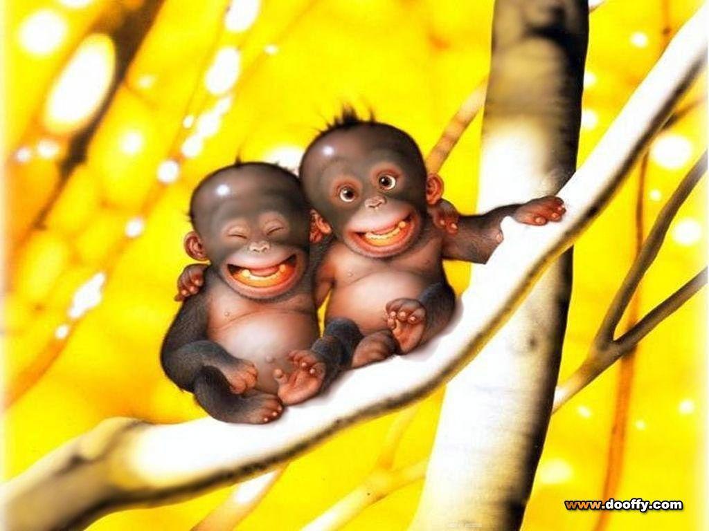 Cute Monkey Wallpapers