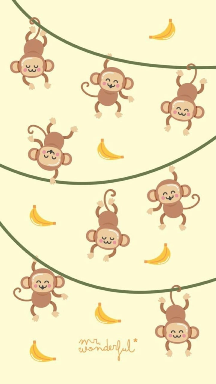 Cute Monkey Wallpapers