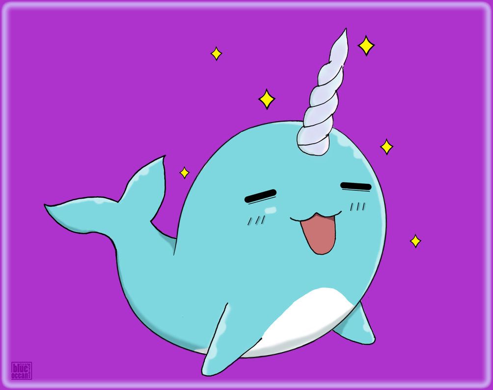 Cute Narwhal Wallpapers