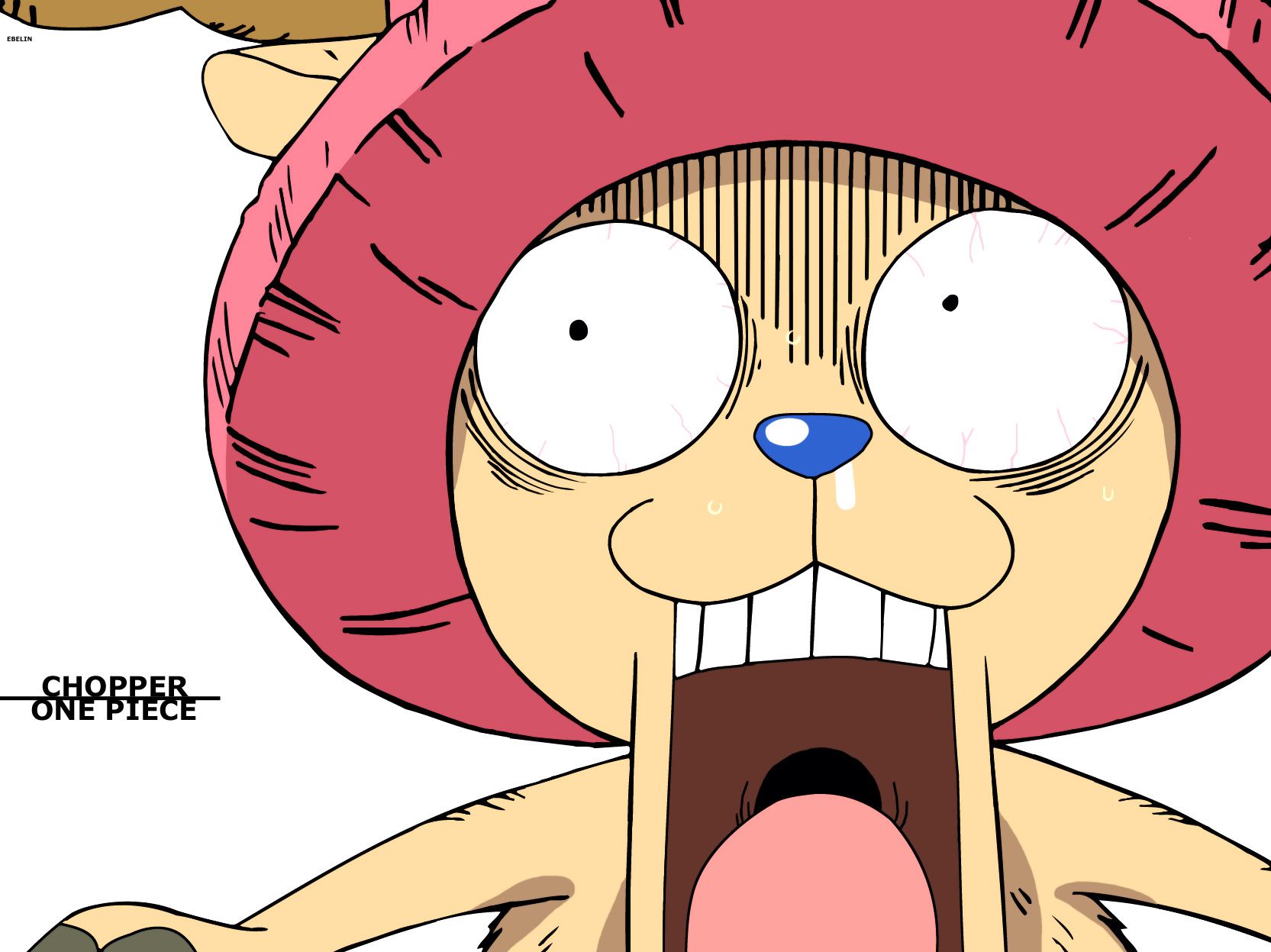 Cute One Piece Chopper Wallpapers