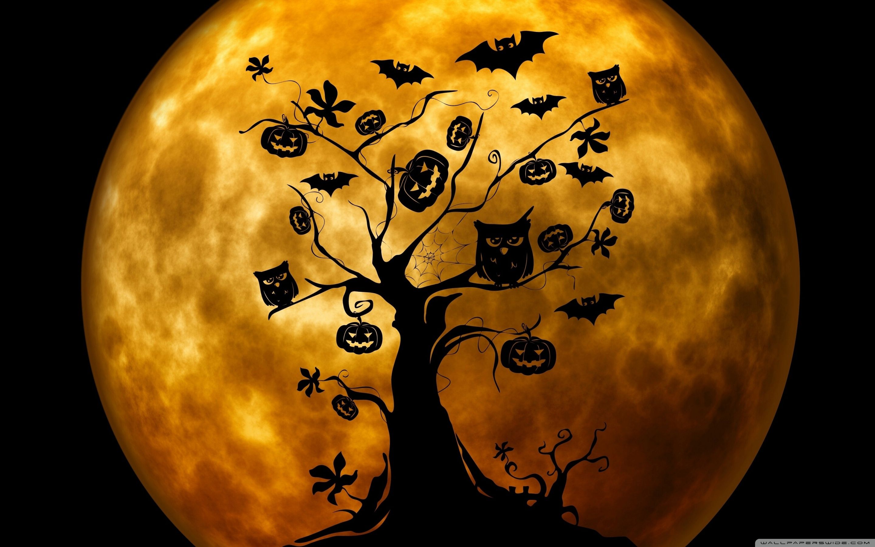 Cute Owl Halloween Wallpapers