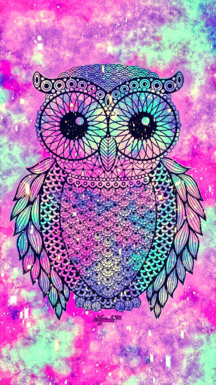 Cute Owl Phone Wallpapers