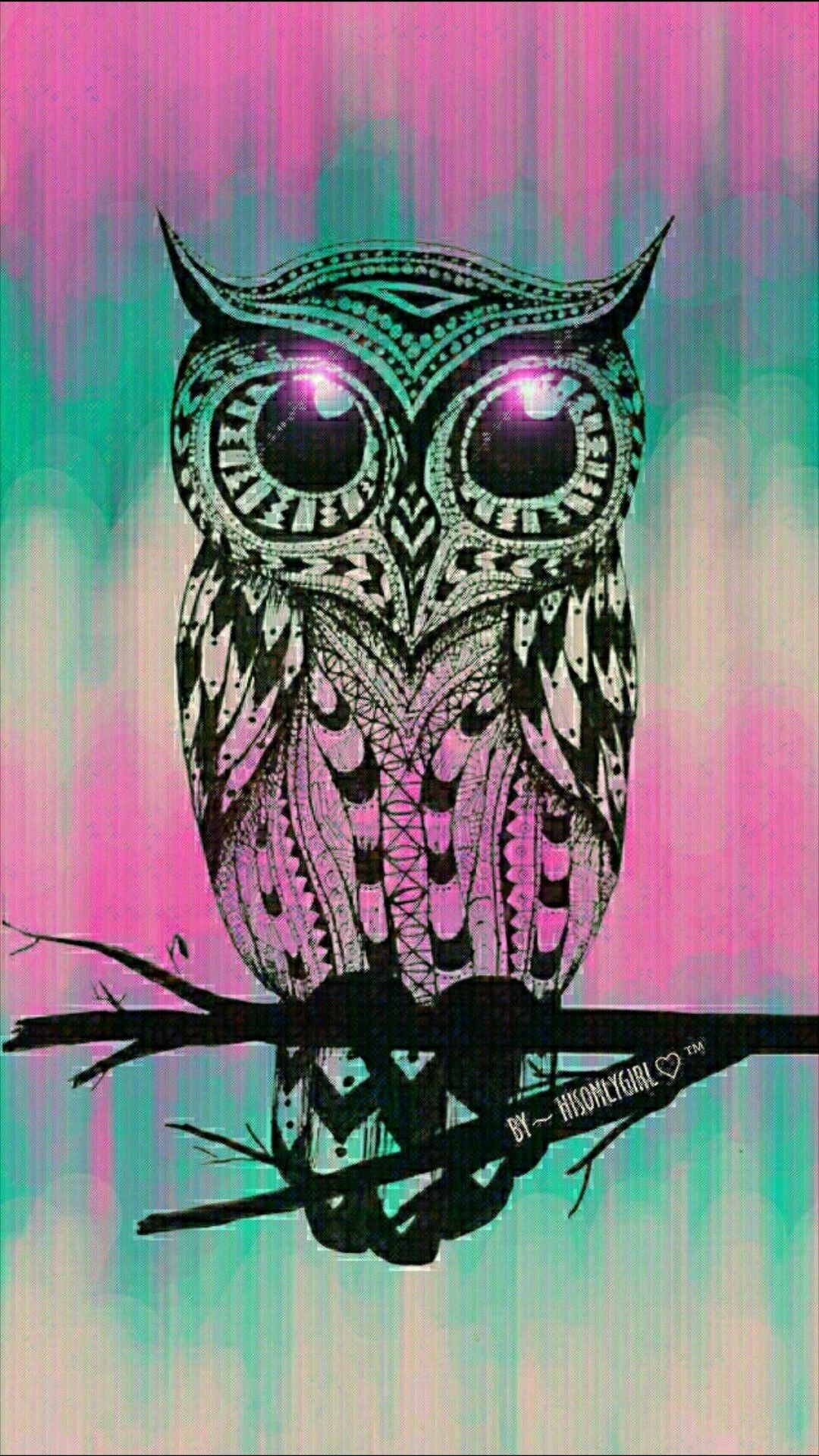 Cute Owl Phone Wallpapers