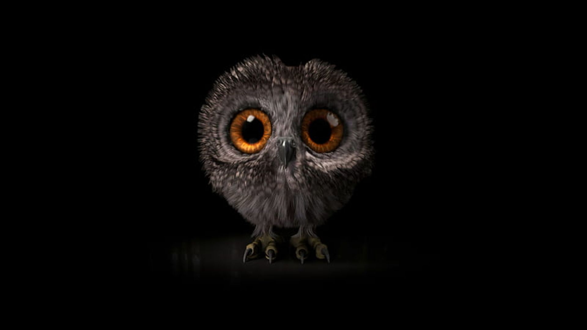 Cute Owl Phone Wallpapers