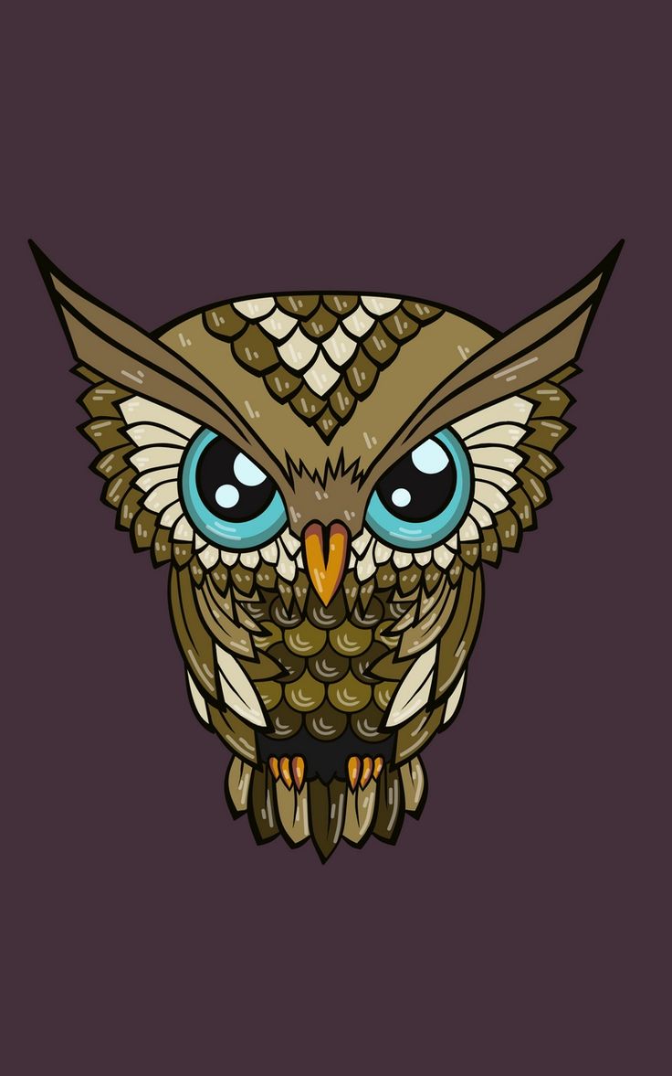 Cute Owl Phone Wallpapers