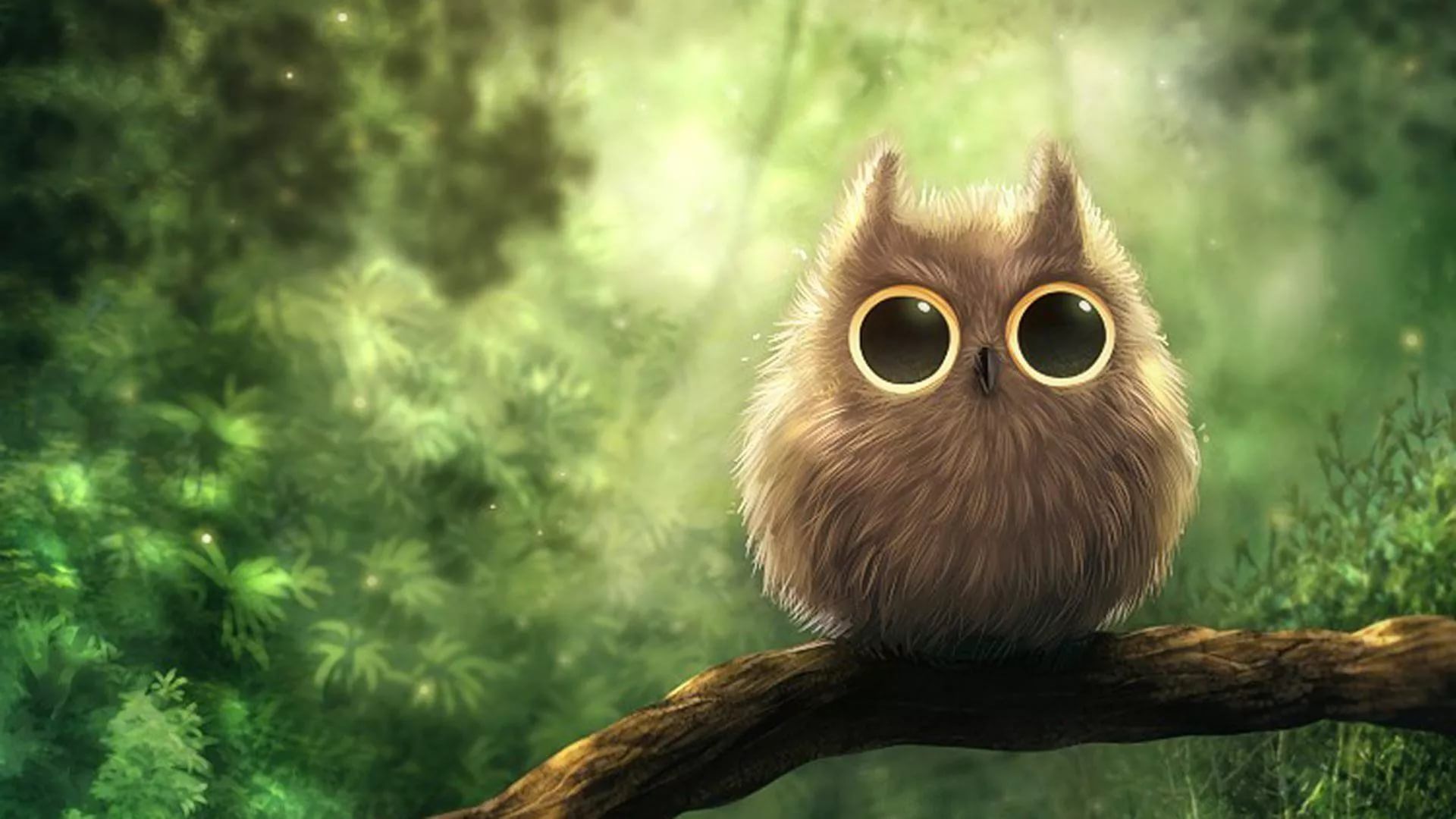 Cute OwlWallpapers