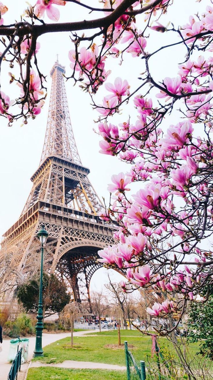 Cute ParisWallpapers