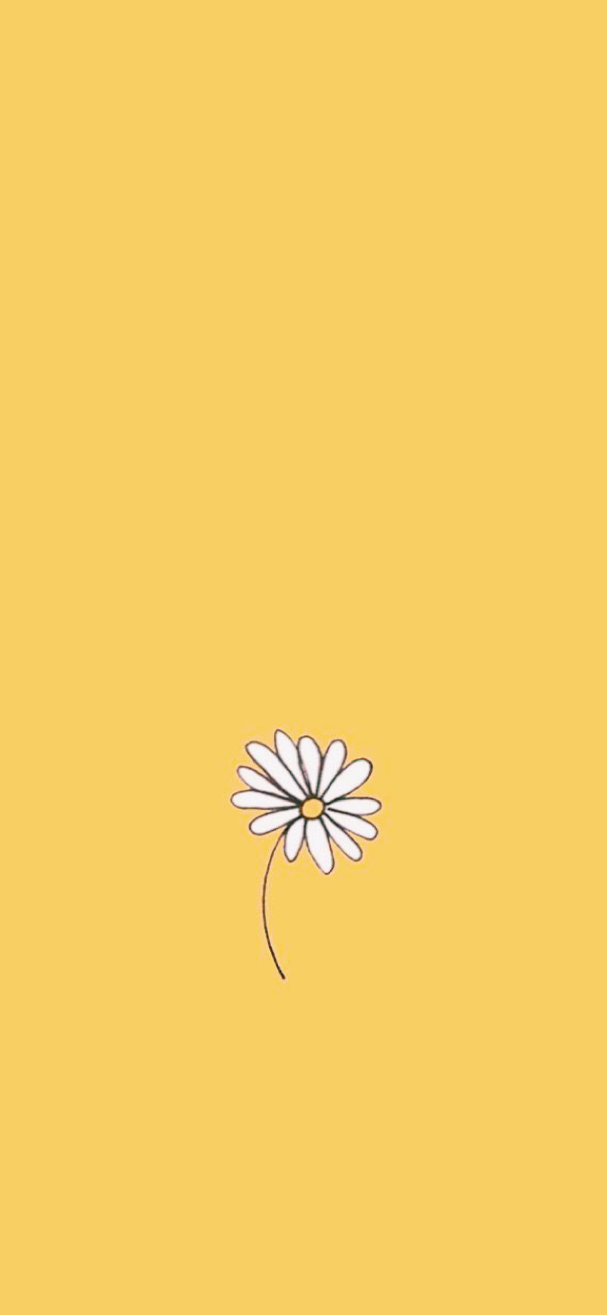 Cute Pastel Yellow AestheticWallpapers