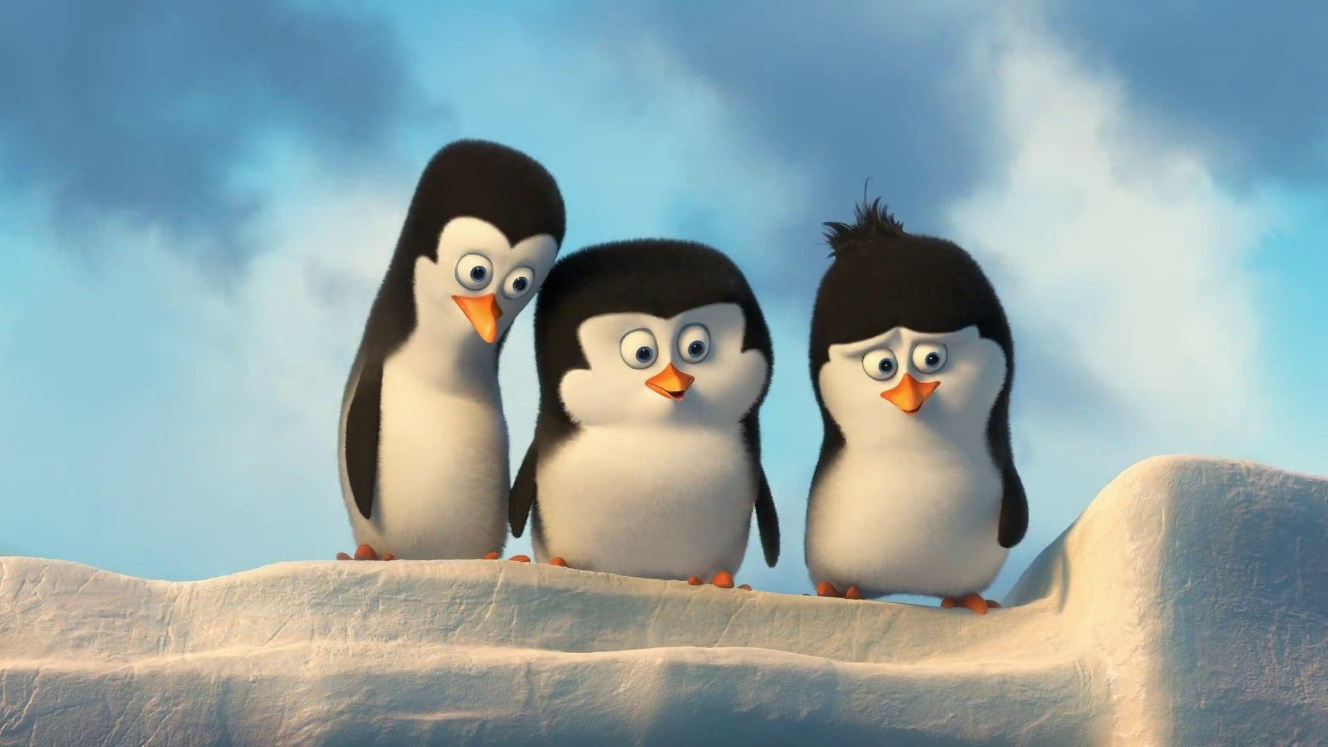 Cute Penguin Desktop Wallpapers