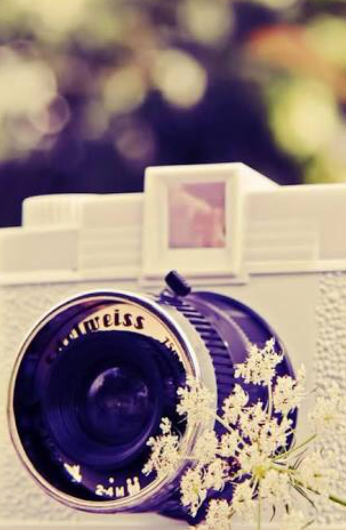 Cute Photography Wallpapers