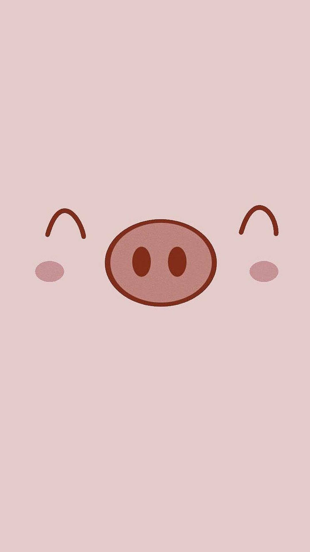 Cute Pig  Wallpapers