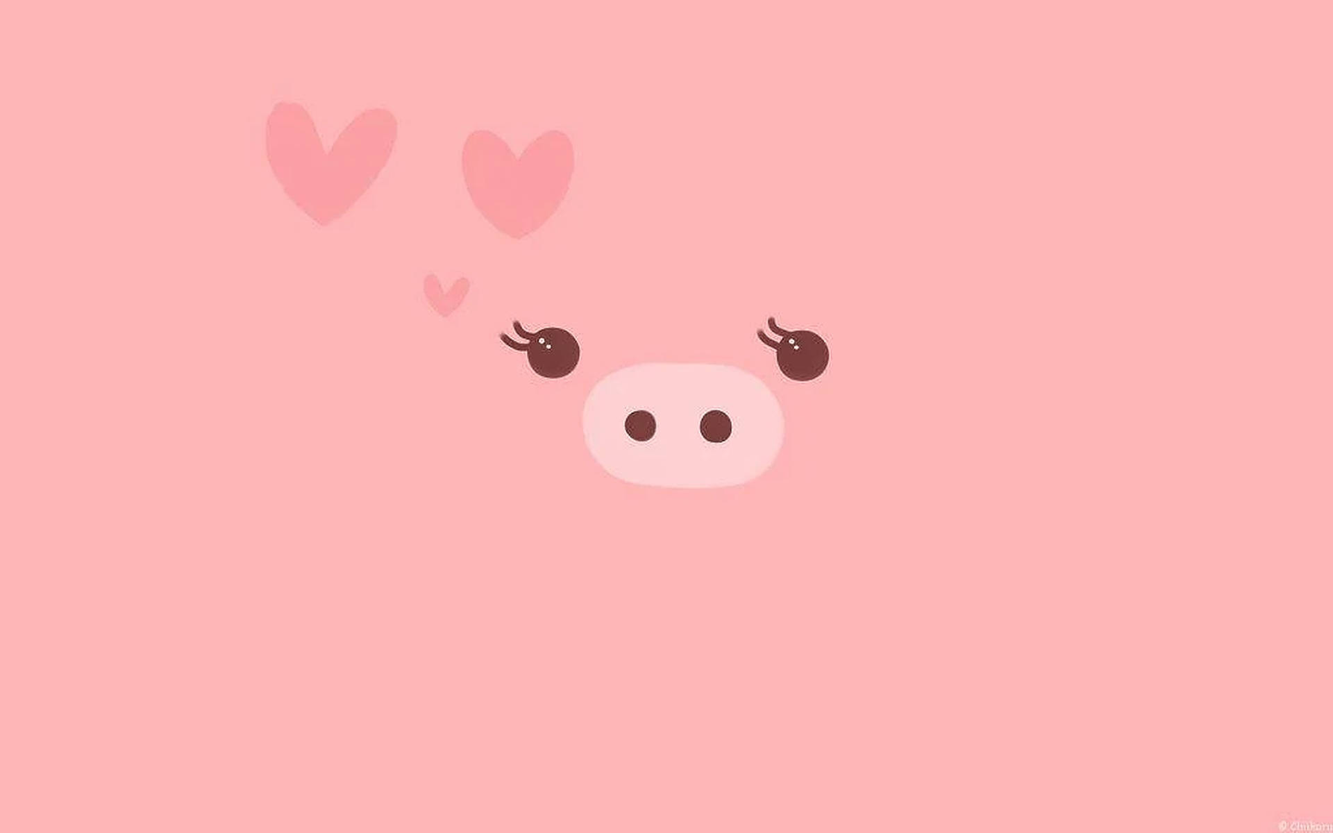 Cute Piggy  Wallpapers