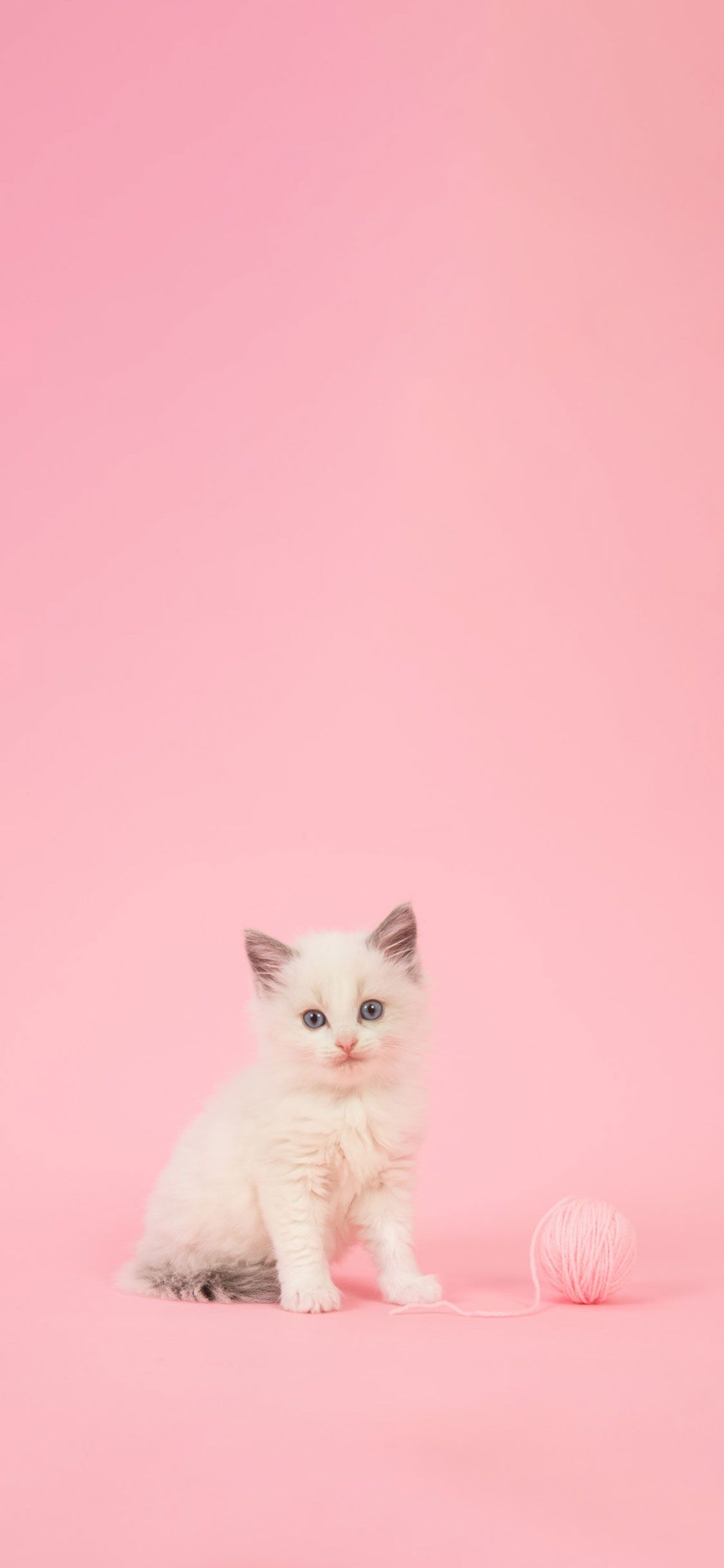 Cute Pink Girly Wallpapers