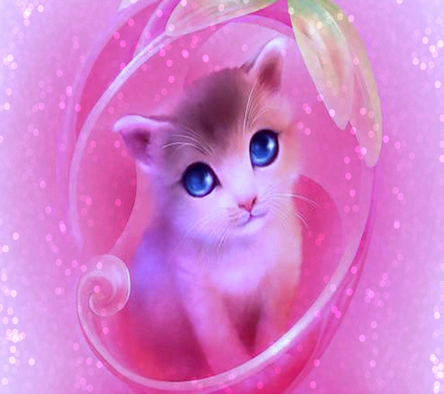 Cute Pink KittensWallpapers