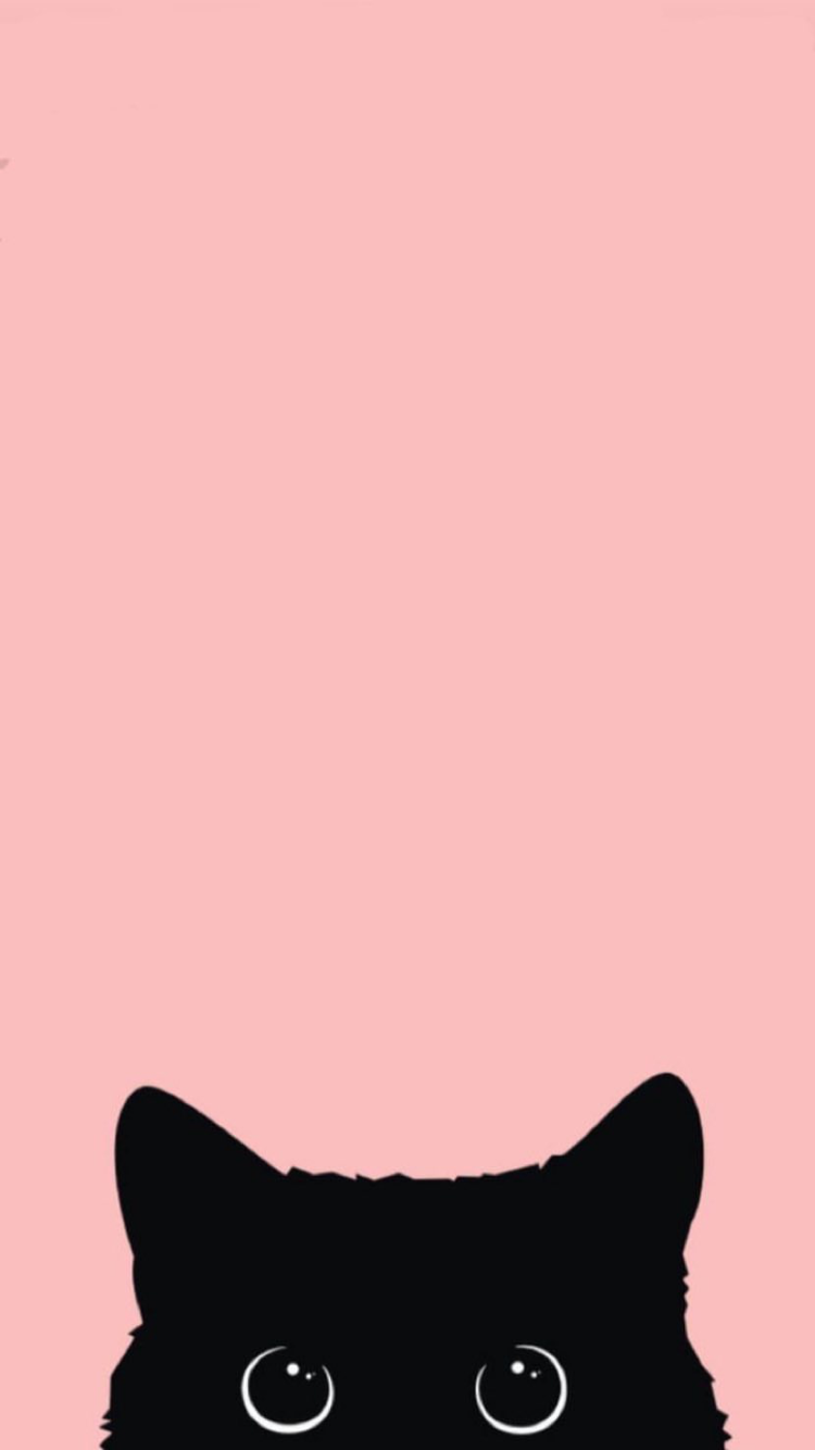 Cute Pink KittensWallpapers