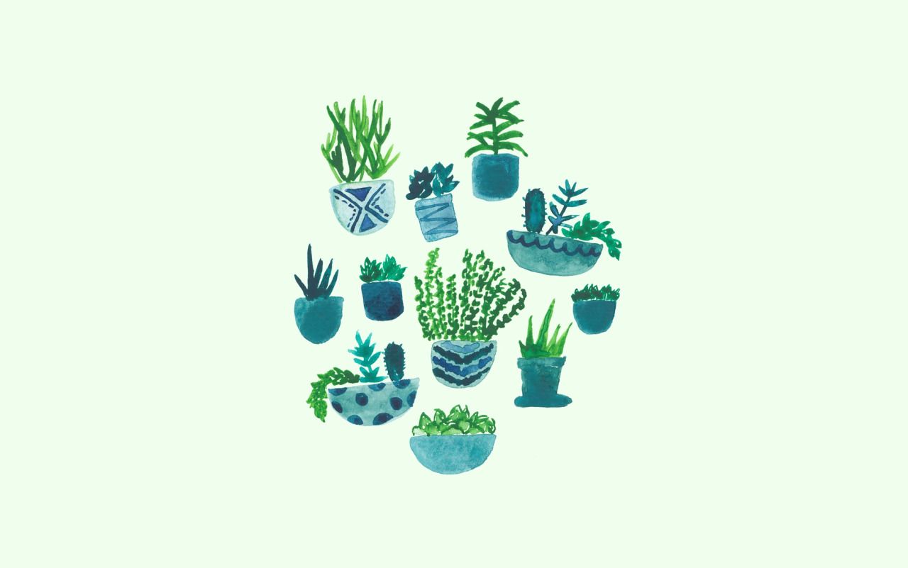 Cute PlantWallpapers