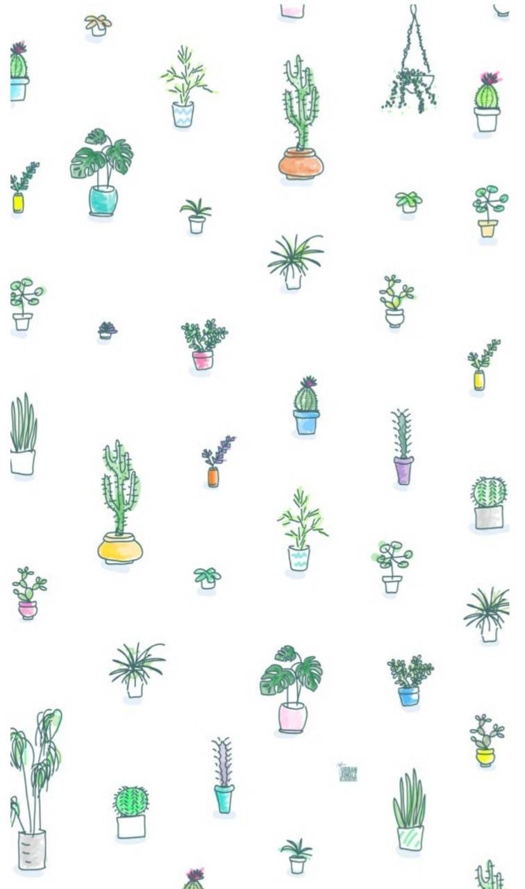 Cute PlantWallpapers