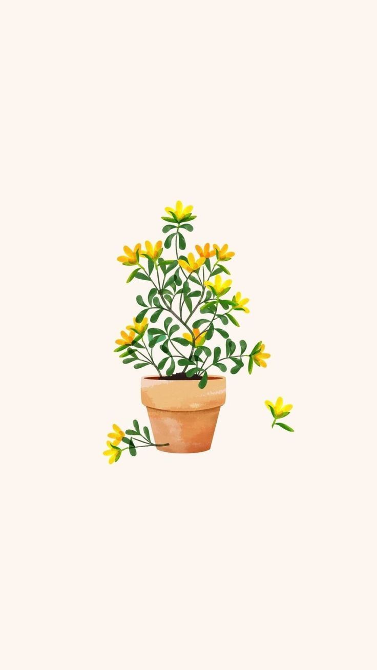 Cute PlantWallpapers