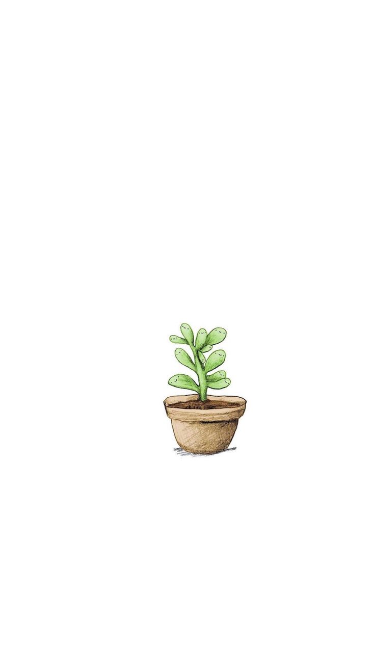 Cute PlantWallpapers