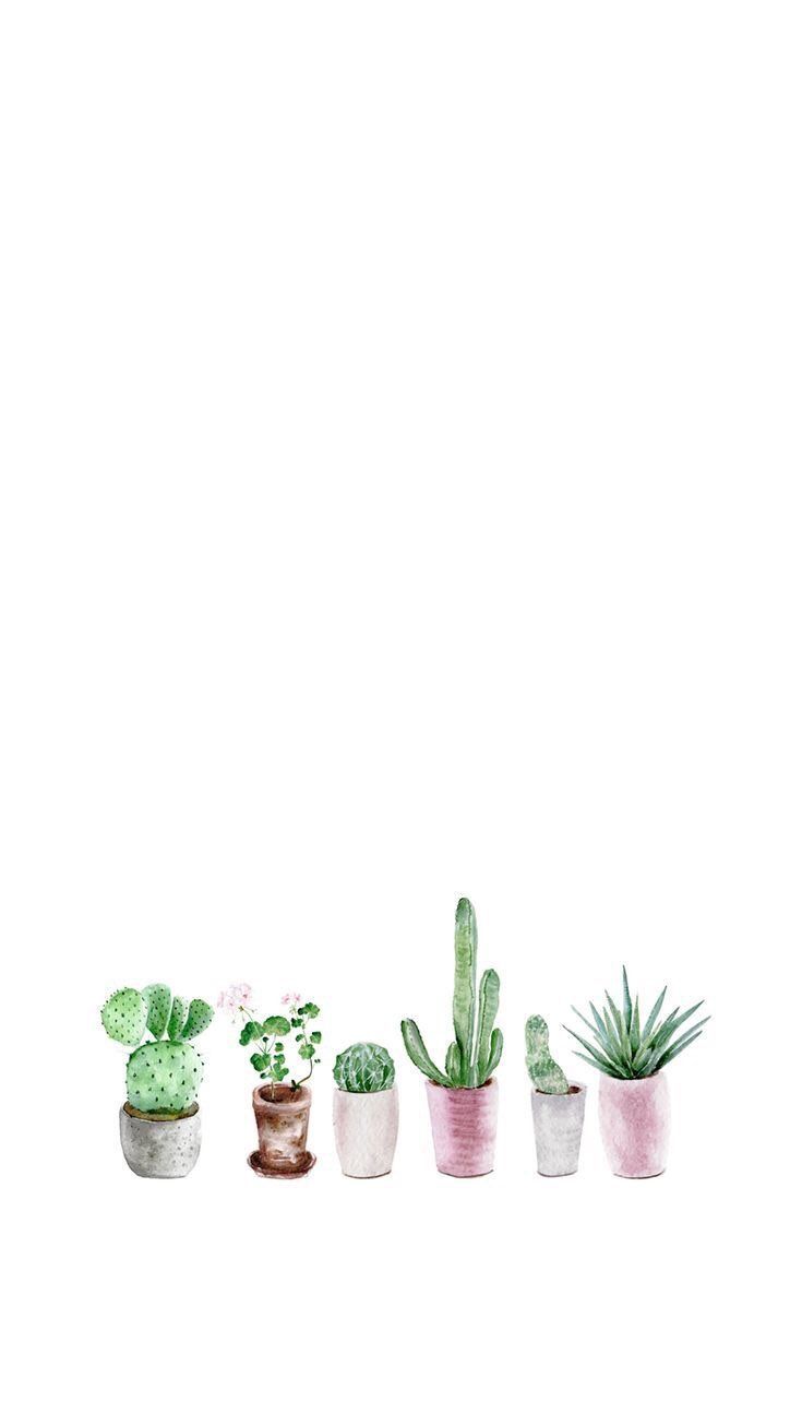 Cute PlantWallpapers