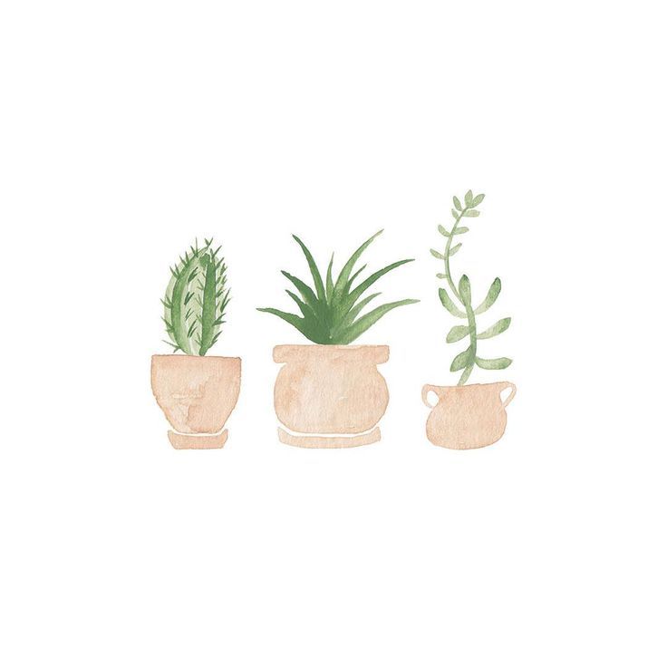 Cute PlantWallpapers