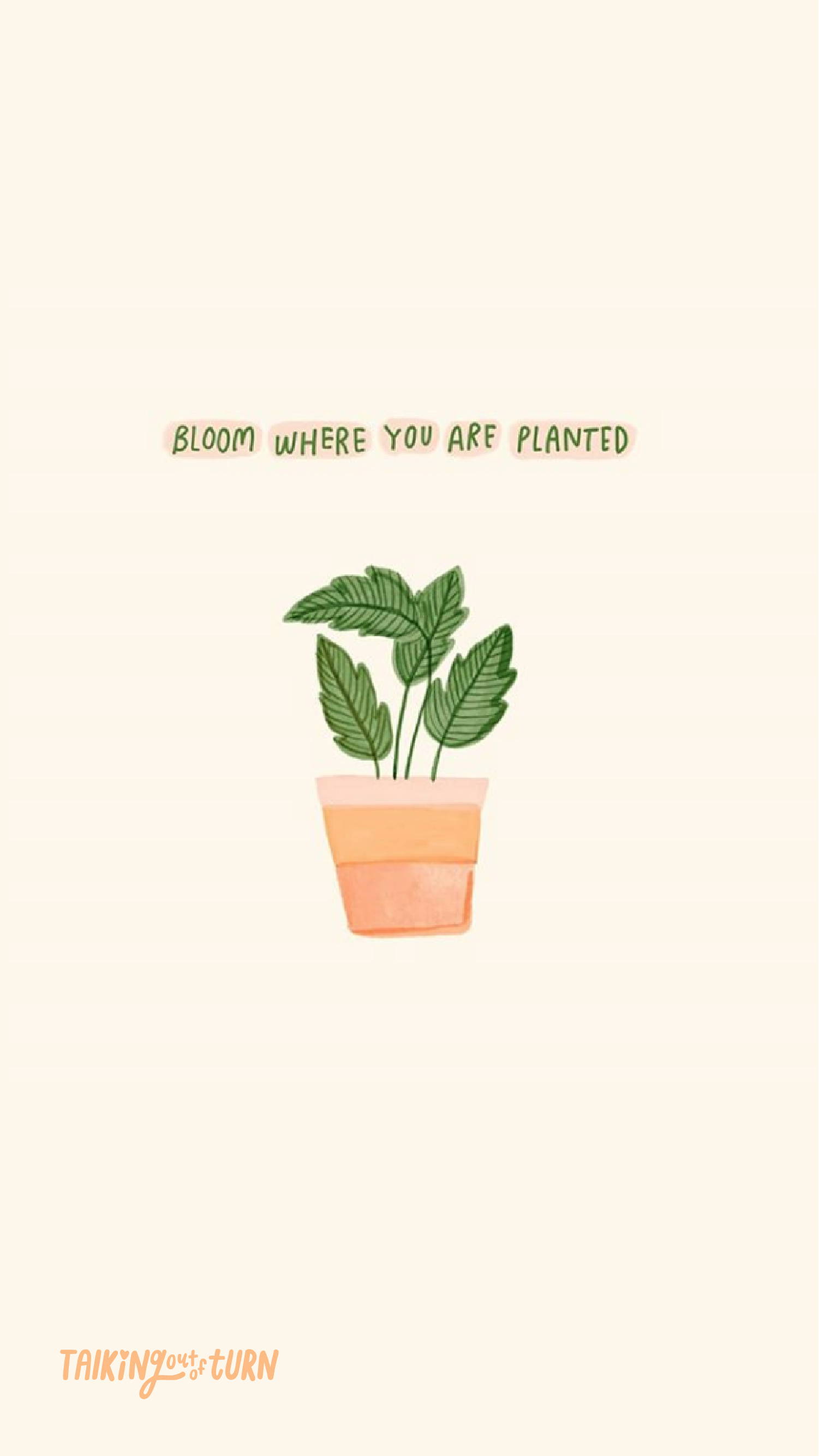 Cute PlantWallpapers