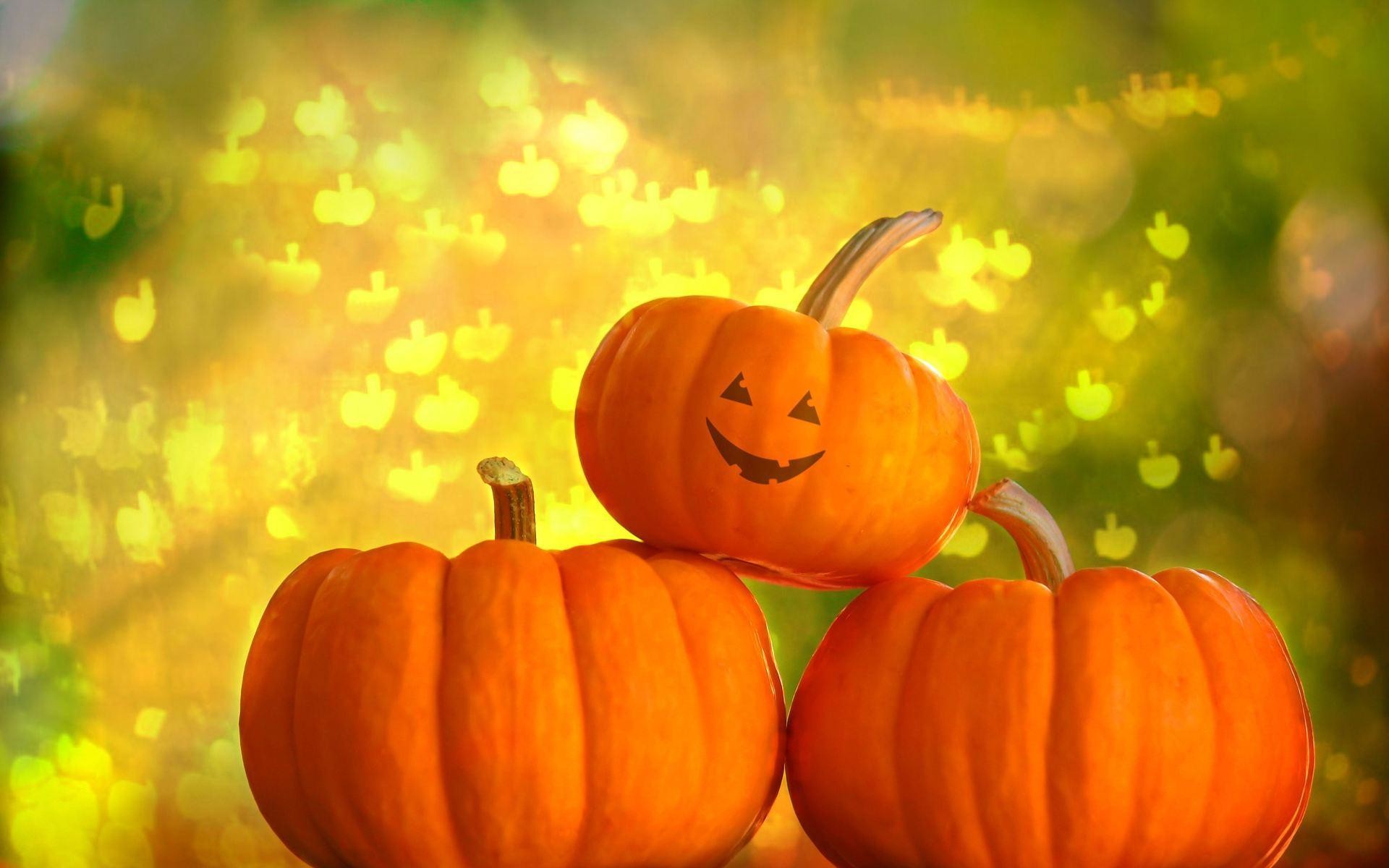 Cute PumpkinWallpapers