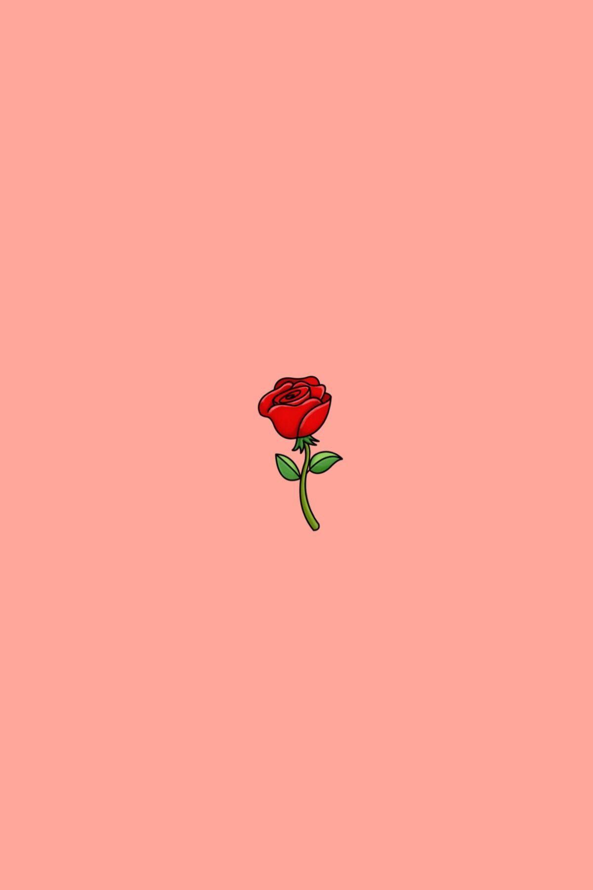 Cute Rose AestheticWallpapers