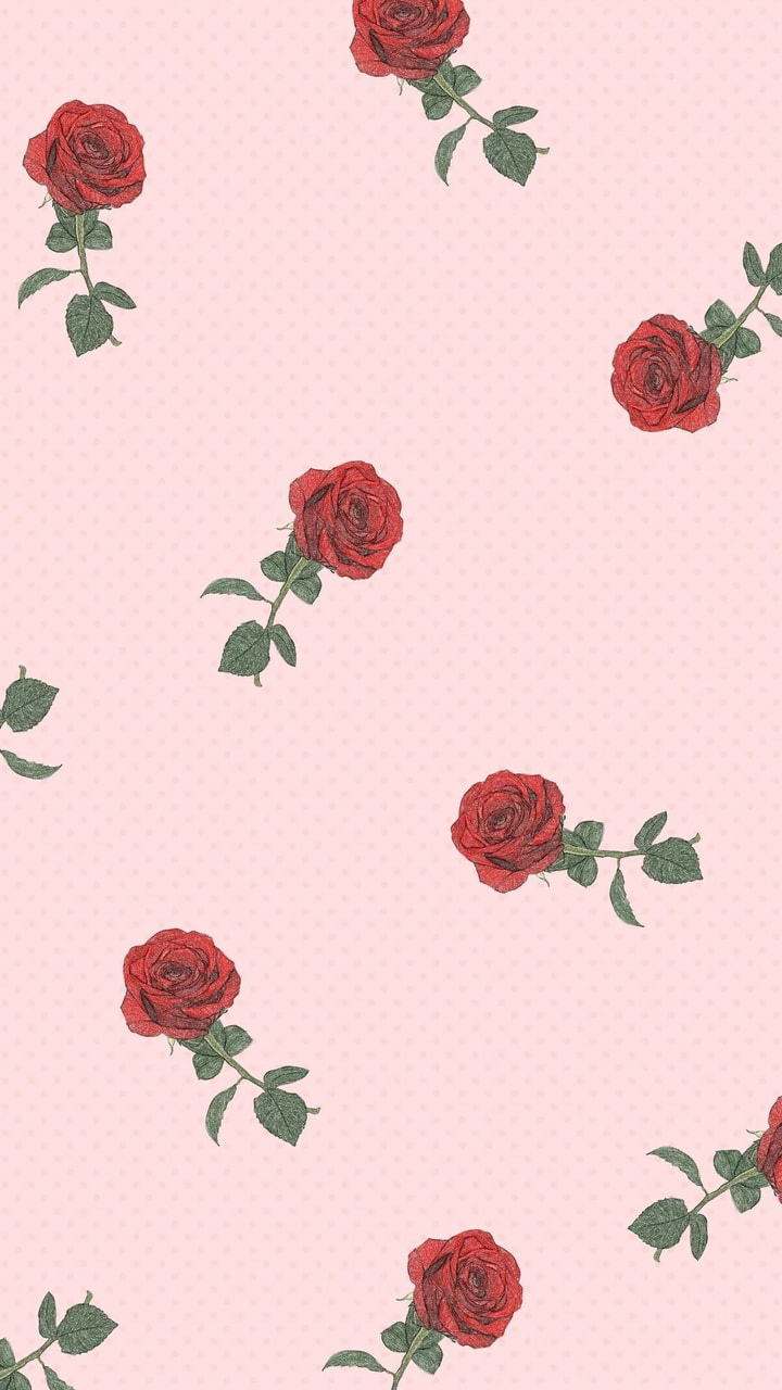 Cute Rose AestheticWallpapers