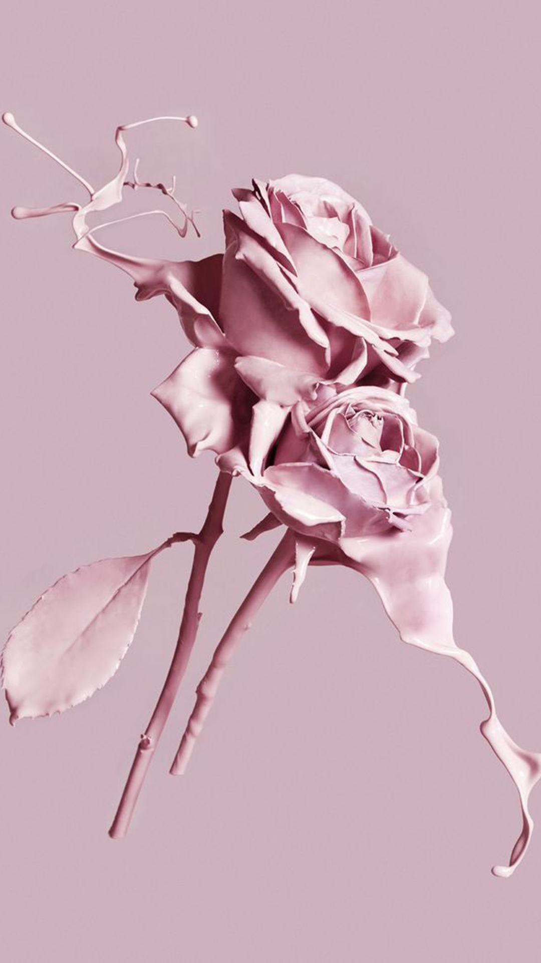 Cute Rose AestheticWallpapers