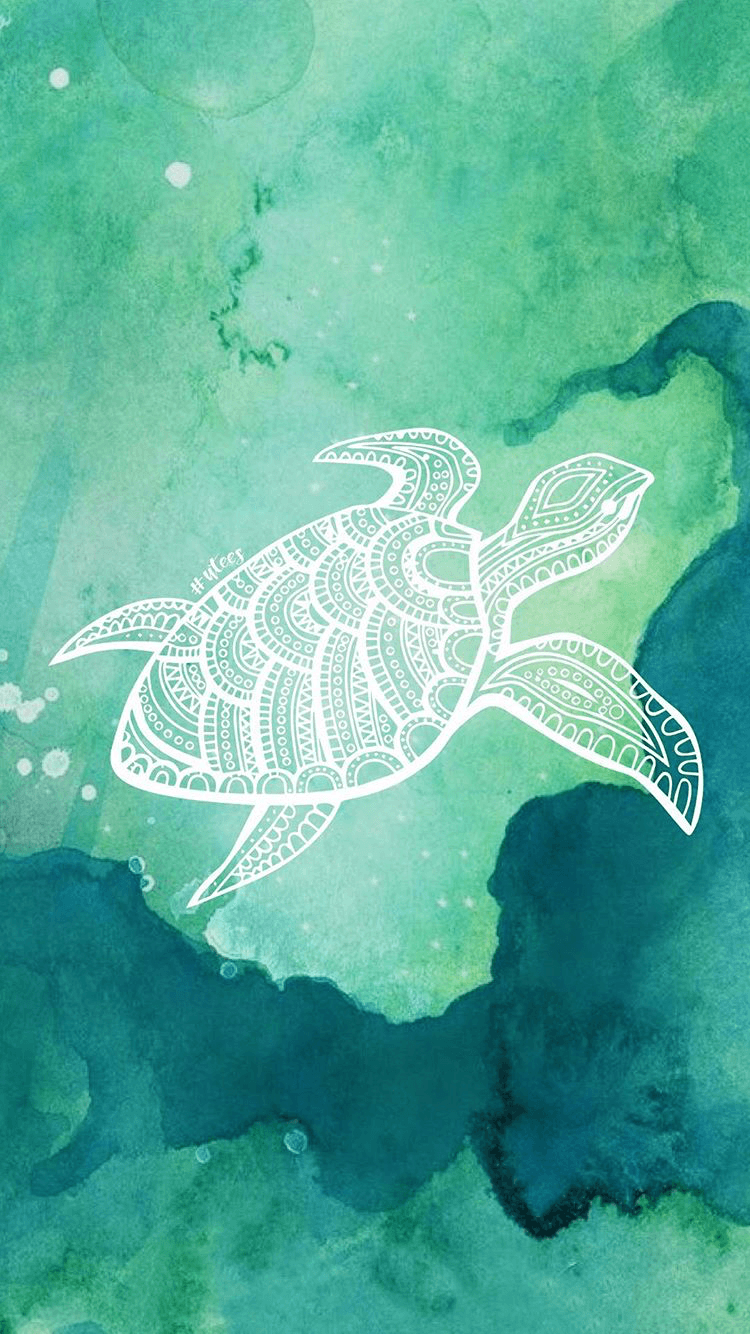 Cute Sea Turtle Wallpapers