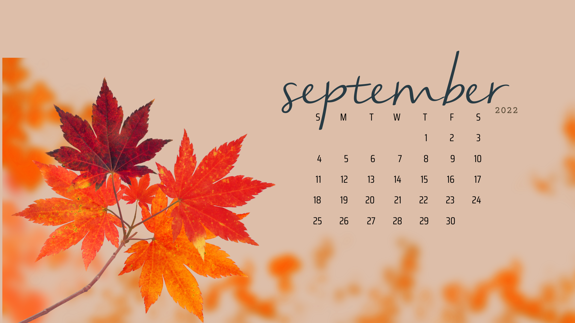 Cute September Wallpapers