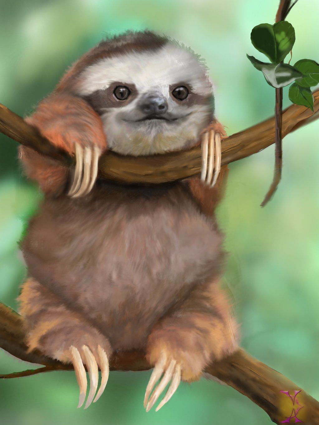 Cute SlothsWallpapers