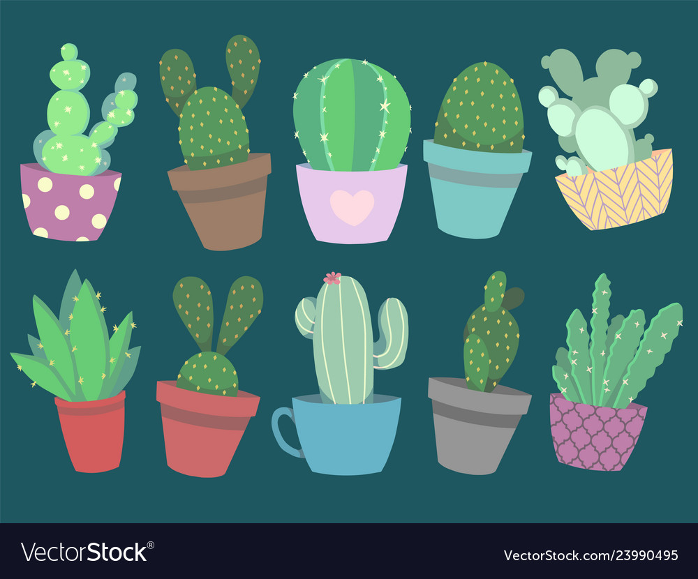 Cute Succulent Wallpapers