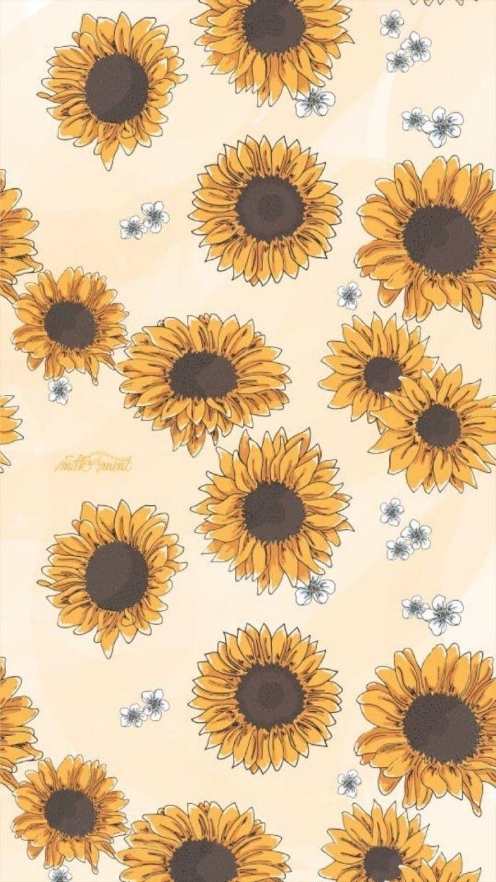 Cute Sunflower Wallpapers