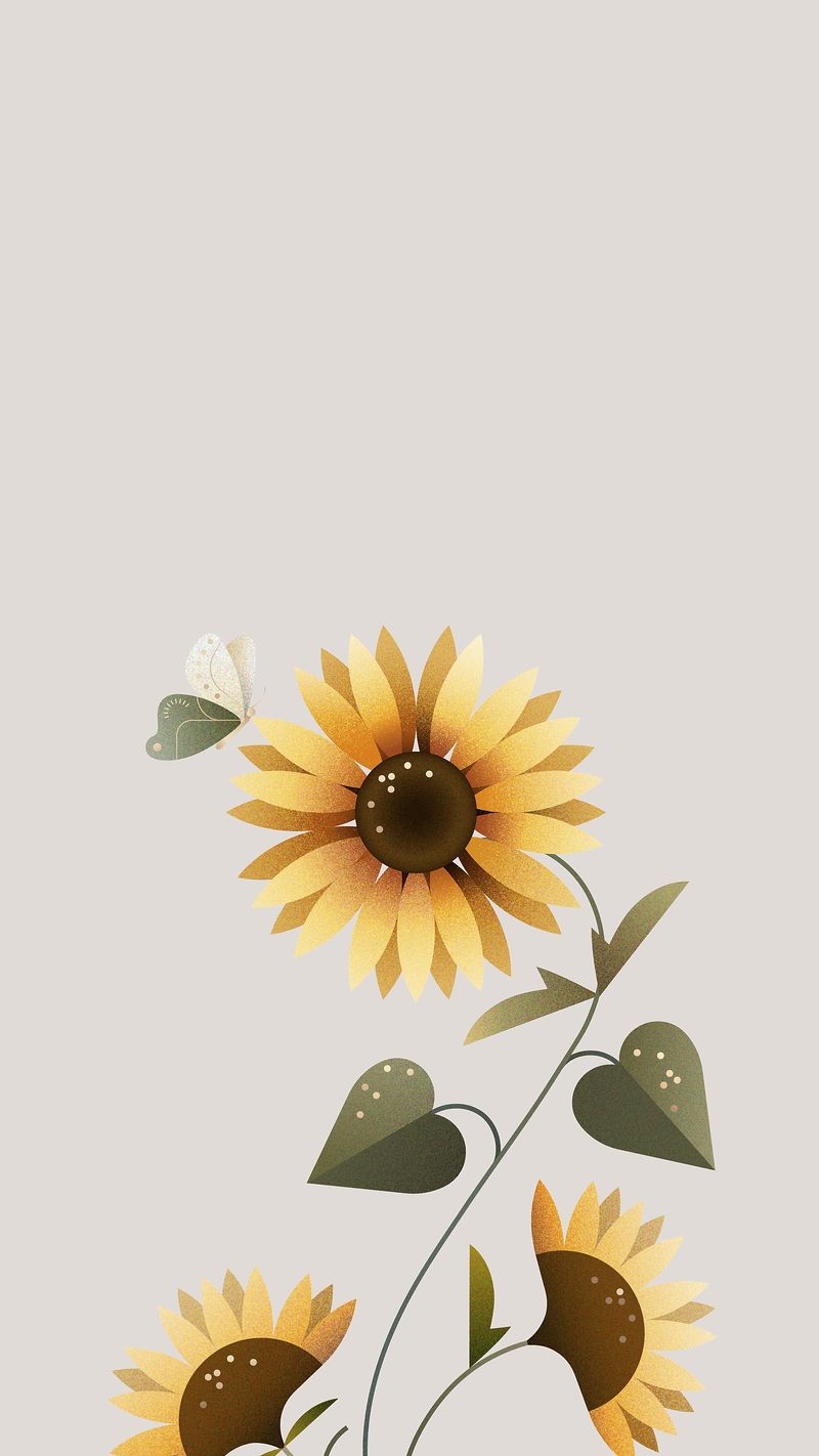 Cute Sunflower Wallpapers