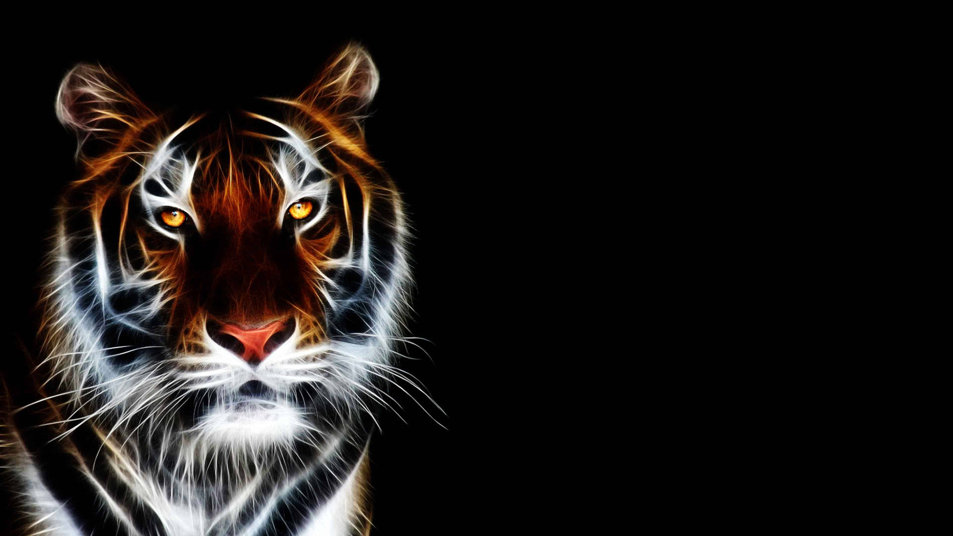 Cute TigersWallpapers