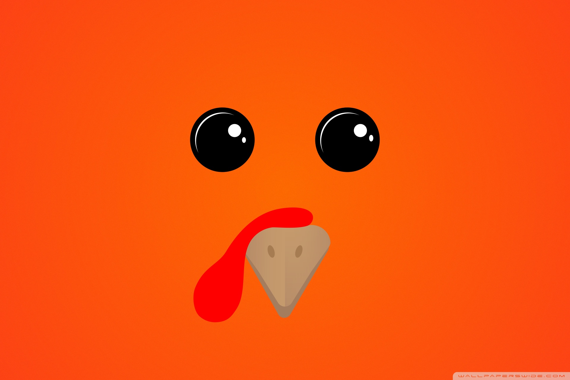 Cute Turkey Wallpapers