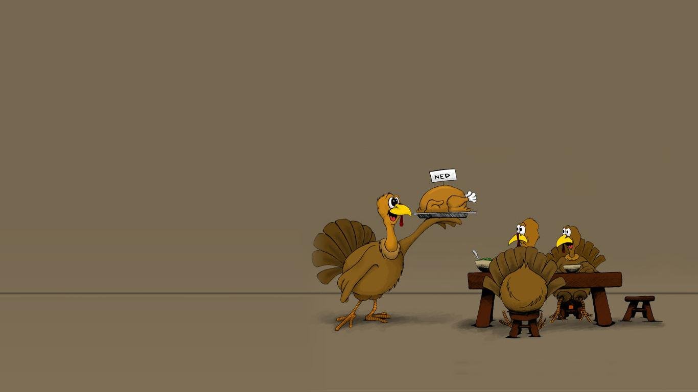 Cute Turkey Wallpapers