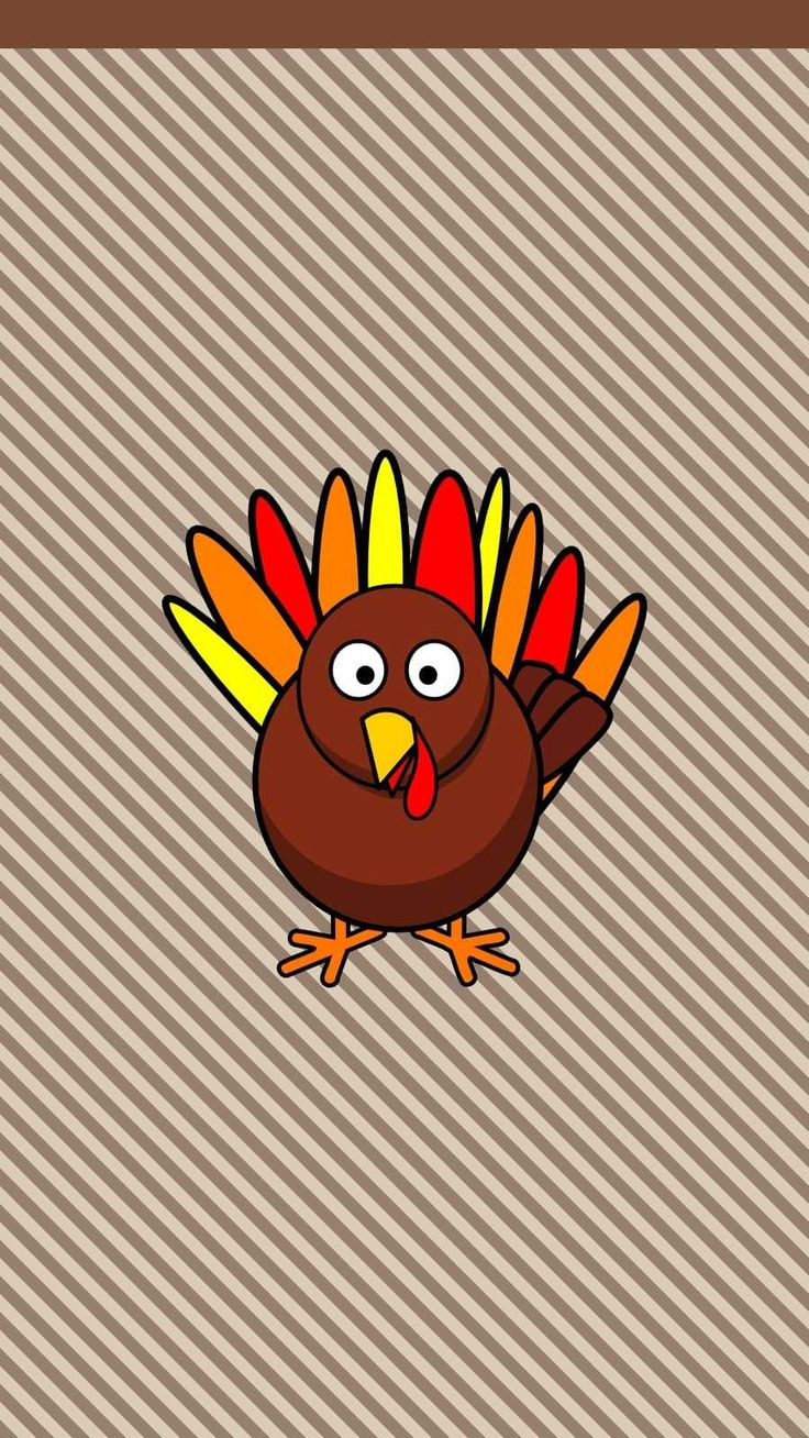 Cute Turkey Wallpapers